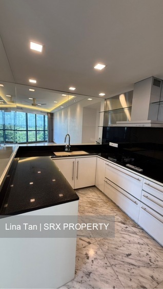 Water Place (D15), Condominium #595806291